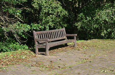 Old Empty Wooden Bench 