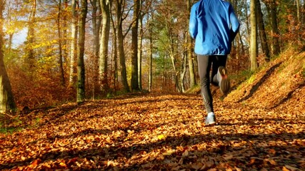 Running on a sunny forest path in autumn, with deciduous trees and foliage on the ground. The camera follows the runner, slow motion action footage