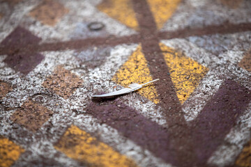 Feather