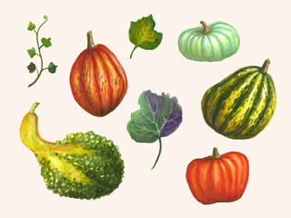 Set of watercolor pumpkins and squash