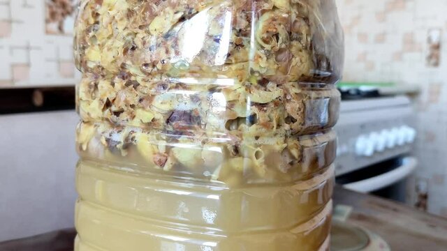 Fermentation process of homemade wine, bubbles in the water seal