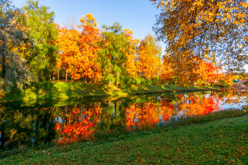 Autumn foliage in Catherine park, Tsarskoe Selo (Pushkin), St. Petersburg, Russia