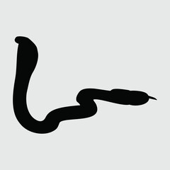 Cobra Silhouette, Cobra Isolated On White Background