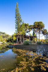 View of a cabin surrounded by pine trees and a lake in central-western Brazil. Blue sky.