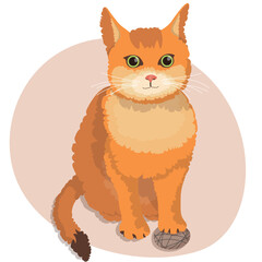 Fluffy orange cat plays with a ball of thread