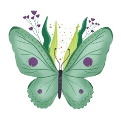 Turquoise blue butterfly illustration