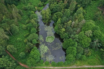 Fototapeta na wymiar aerial view of a pond