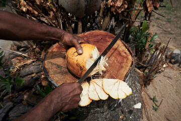 Man cuttiing fresh coconut by machete at local market in Seychelles.. © Chalabala