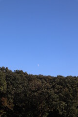 Obraz premium early moon in the sky