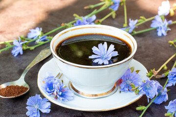 Medicinal plant chicory: flowers and ground roots. The roots of the plants are used as a substitute for coffee. Drink from chicory in a cup on the table. Rustic style, selective focus