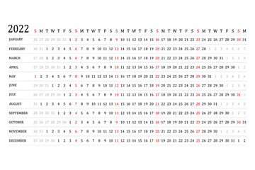 The calendar is linear for 2022. Vector. The planner of the annual calendar. A schedule template with months. The week starts on Sunday. Horizontal, landscape orientation, English. 