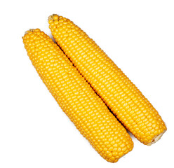 Corn isolated on a white background, top view