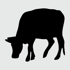 Cow Silhouette, Cow Isolated On White Background