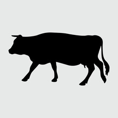 Cow Silhouette, Cow Isolated On White Background