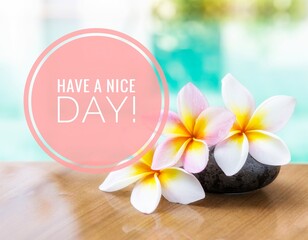 Fototapeta na wymiar Have a nice day card idea, Beautiful fresh plumeria flower over blurred pool water background, summer and spring season concept