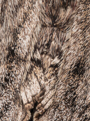 Super macro of hawk moth hairs and scales. Natural patterns on the insect's body. Stacking macro photo.