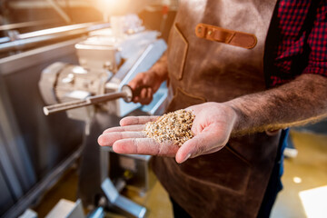 A young brewer in a leather apron controls the grinding of malt seeds in a mill at a modern brewery