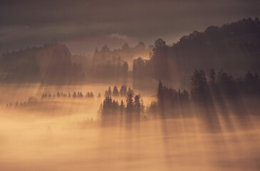 Jesienne mgły - Beskidy - Istebna - obrazy, fototapety, plakaty