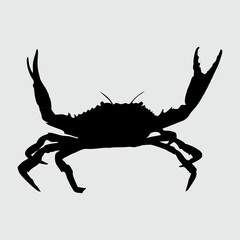 Crab Silhouette, Crab Isolated On White Background