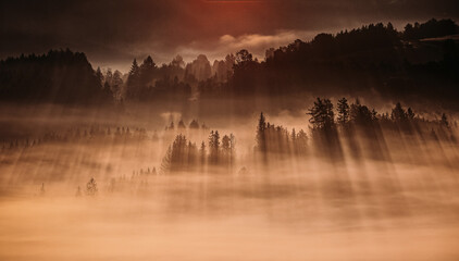 Jesienne mgły - Beskidy - Istebna - obrazy, fototapety, plakaty