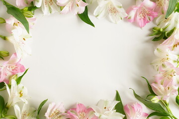 Fototapeta na wymiar Flowers top view on white background with copy space.Pink and white Alstroemeria flowers frame template . Botanical Poster.Floral card.