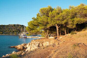Rocky beach, pine trees and boat moored by the pier in summer sunset on Murter island, Croatia