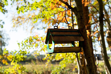 Wooden bird feeder hanging on tree branch in autumn forest, fall season help and caring for birds, birdhouse, bird watching