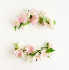 White and pink flowers frame top view on white background with copy space. Alstroemeria flowers backdrop. Poster