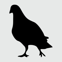 Dove Silhouette, Dove Isolated On White Background