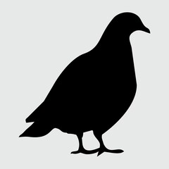 Dove Silhouette, Dove Isolated On White Background