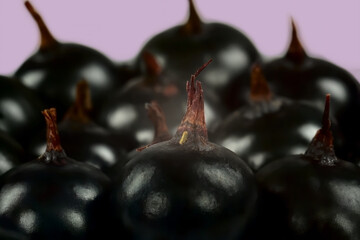 black currant, group, ripe and juicy berries, vitamin product, food for every day.