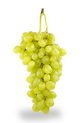 ripe bunch of grapes, garden culture, single.