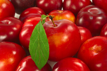 ripe fruit, red with green leaf, glossy surface, horticultural culture.