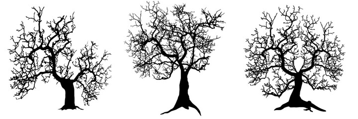 Tree silhouette set isolated on withe background 3D illustration
