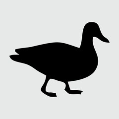 Duck Silhouette, Duck Isolated On White Background