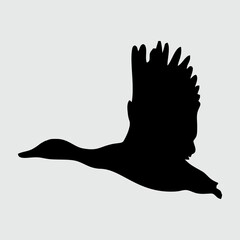 Duck Silhouette, Duck Isolated On White Background