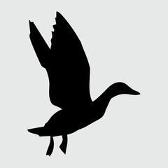 Duck Silhouette, Duck Isolated On White Background