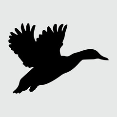Duck Silhouette, Duck Isolated On White Background