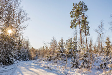 Fototapety na wymiar - Fototapeta24.pl
