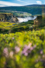 Godafoss waterfall in the Bardardalur district of North-Central Iceland, with defocused summer foliage in foreground