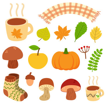 Set of different autumn natural elements. Fall leaves, mushrooms, berries, acorn, apple and pumpkin. Mug with tea or cacao, warm socks and scarf. Print for stickers, seasonal design and decor