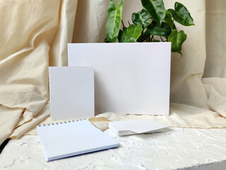 Mockup of white box, notebooks and business cards on a solid background with grained plants
