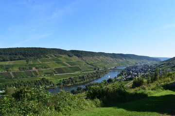 Fototapeta premium Moseltal bei Reil