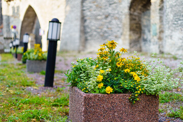 Fototapeta na wymiar Flower pot with flowers next to the castle wall and small lampposts on the ground.