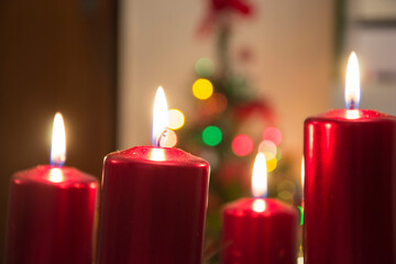 Four red candles burning on advent wreath with blurred colorful christmas tree with glowing lights in the background on evening. Merry Christmas, Advent crown decoration, 4th sunday, Xmas backdrop
