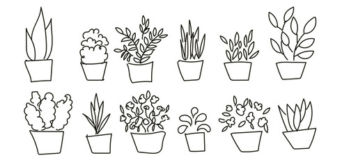 Set of houseplants in doodles pots.
