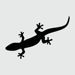 Lizard Silhouette, Lizard Isolated On White Background