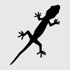 Lizard Silhouette, Lizard Isolated On White Background