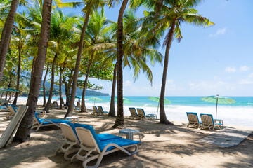 Fototapeta na wymiar People relaxing on umbrellas beach summer day.Coconut trees beside blue sky white clouds 