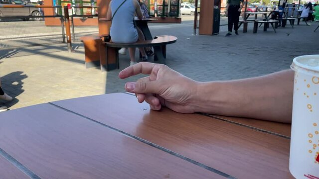 Barnaul, Russia - August 29, 2021: Hungry sparrows snatch food from human hands. Sparrows snatch chunks of McDonald's fries from their hands. 